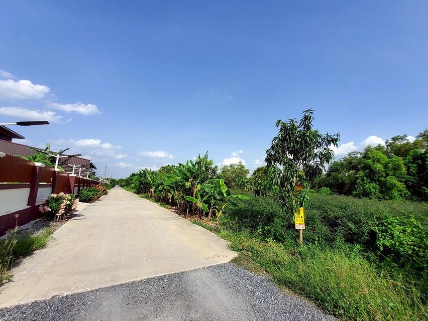 ที่พิน 1