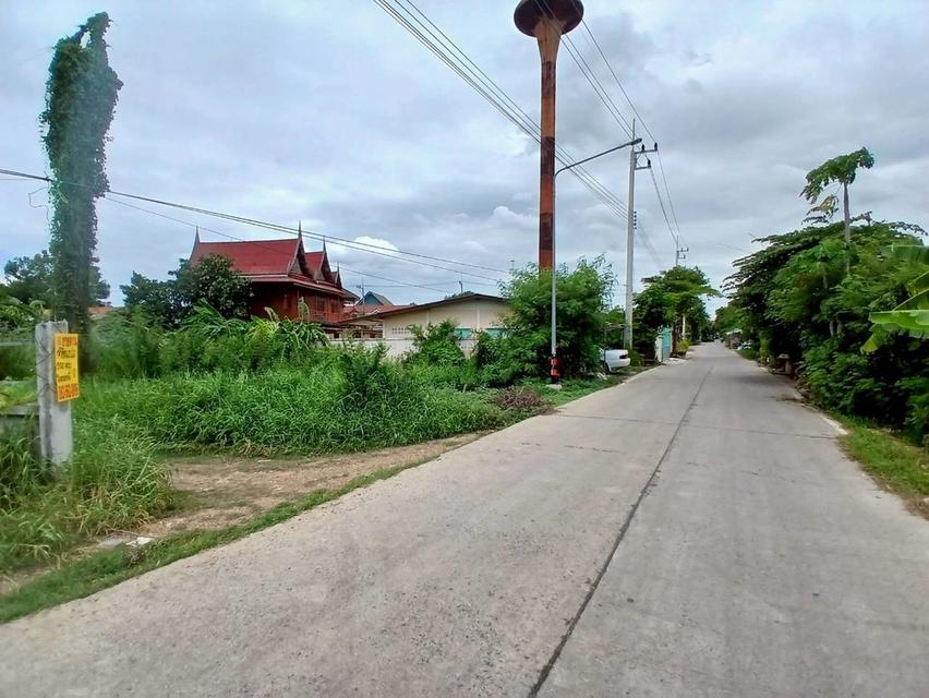 ขายที่ดิน ซอยวัดศรีประชาธรรม(วัดใหม่บัวชม) วังน้อย 3