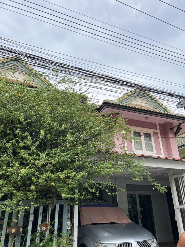 ขายทาวน์เฮ้าส์ 2 ชั้น บ้านพฤกษา บี รังสิต-คลอง 3 คลองสาม คลองหลวง ปทุมธานี 16