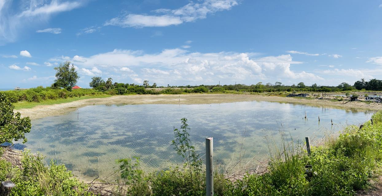 ขายที่ดิน 13 ไร่  ติดทะเล ใกล้วัดหัวระวะ ระโนด 5