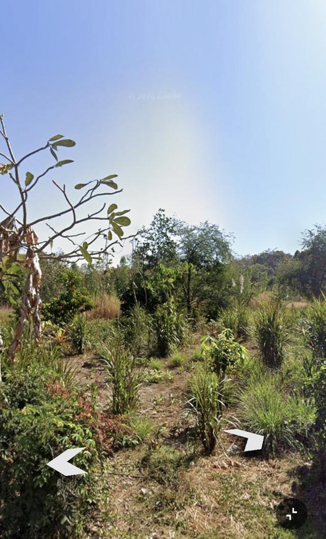 ที่ดินเปล่าใกล้ถนน 200 เมตร เขตชุมชน 2 งาน 90 ตรว. มีโฉนดครุฑแดว 5