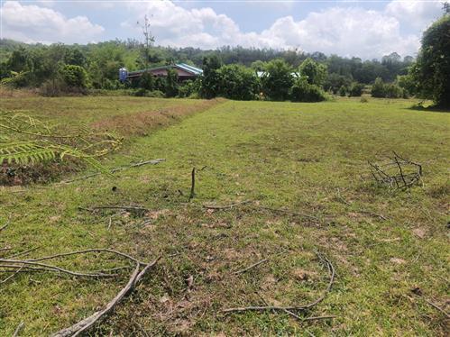 ที่ดิน เเบ่งขาย 1-2 ไร่ ติดคลอง วิวเขา