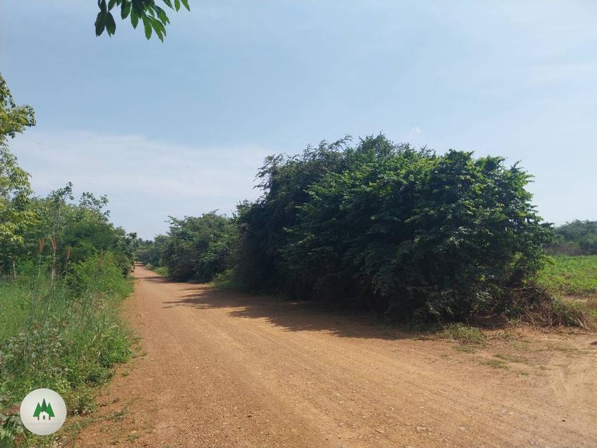 ขายที่ดิน โฉนดราคาถูก บ้านท่าเคย อำเภอสวนผึ้ง จังหวัดราชบุรี  เนื้อที่ 11 ไร่ 💰ราคาไร่ละ 230,000 บาท  6