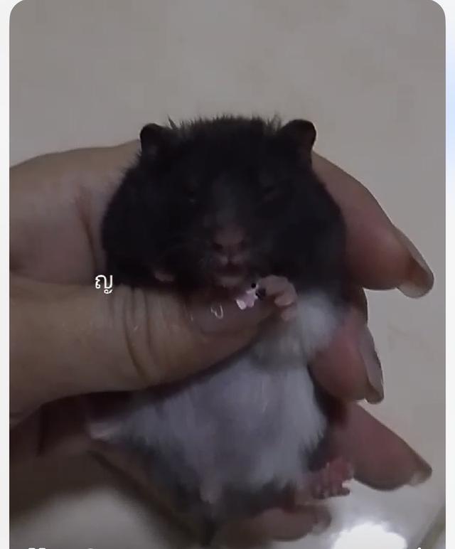 ไจแอ้นๆๆๆๆๆๆๆๆๆๆๆๆๆๆๆๆๆๆๆ 1