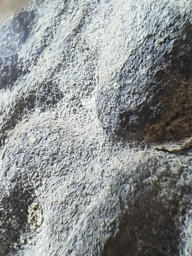 พระขุนแผนเนื้อดินเนื้อชิน (ไม่ทราบที่)จริงแท้พิจารณาตามรูปครับ 10