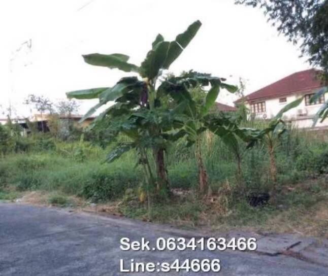 ที่ดินซอยนวมินทร์ 88 6