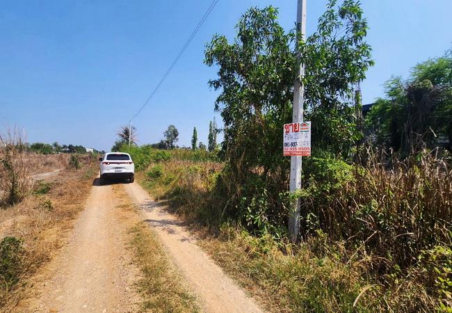 ขายที่ดิน คลอง 5 ซอยคลองห้าตะวันออก 45 อำเภอคลองหลวง ปทุมธานี เนื้อที่ 200 ตร.ว. ต่อรองได้ 2