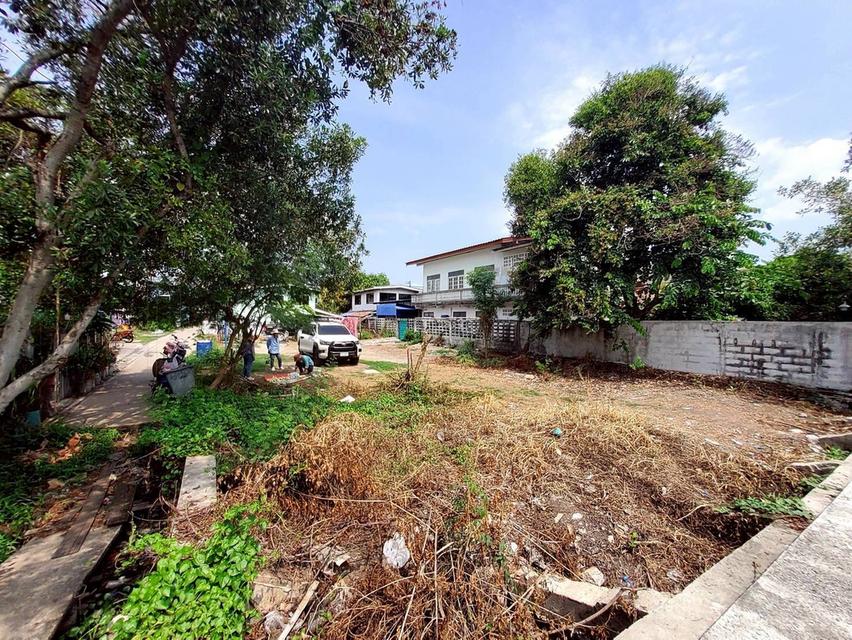 ขายที่ดินใกล้วัดเสด็จ 73 ตรว ติดถนนคอนกรีต ด้านข้างติดคลอง ซ.บ้านลาน สวนพริกไทย เมืองปทุมธานี 3