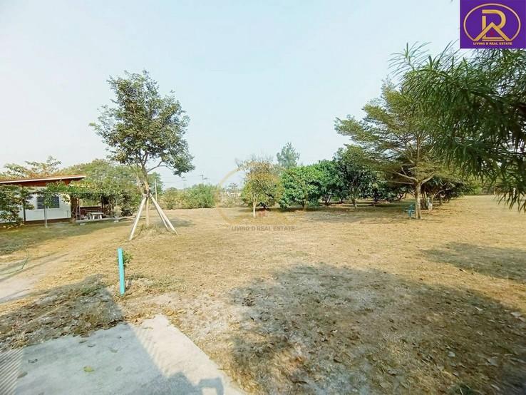 รูป ขายที่ดิน แถมบ้านสวน 1-2-33 ไร่ พร้อมผลไม้ หลากหลายชนิด ต.บ้านสวน อ.เมืองชลบุรี จ.ชลบุรี