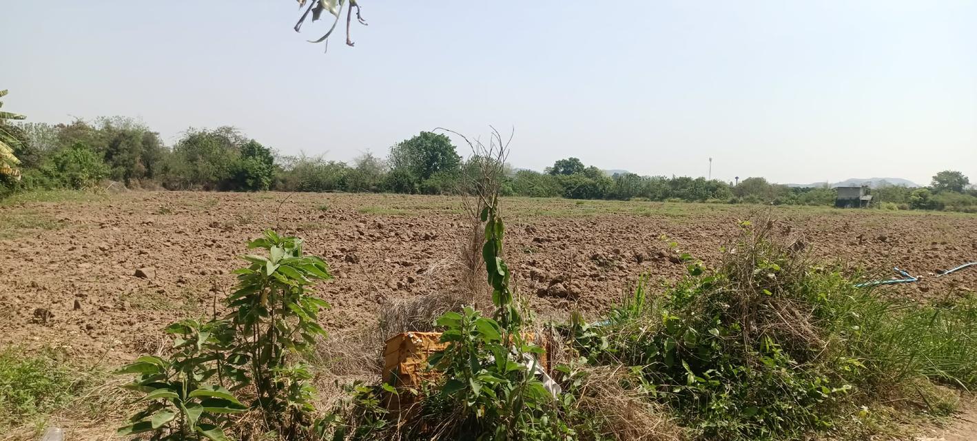 บ้านพร้อมที่ดินจังหวัดลำพูน 4
