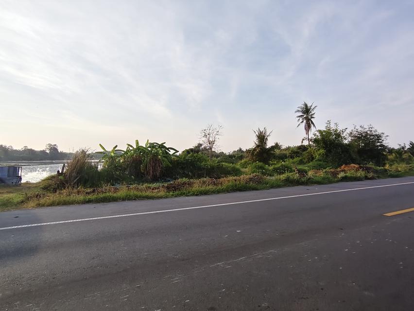 ขายที่ดินเปล่าติดถนน มีน้ำไฟ 8