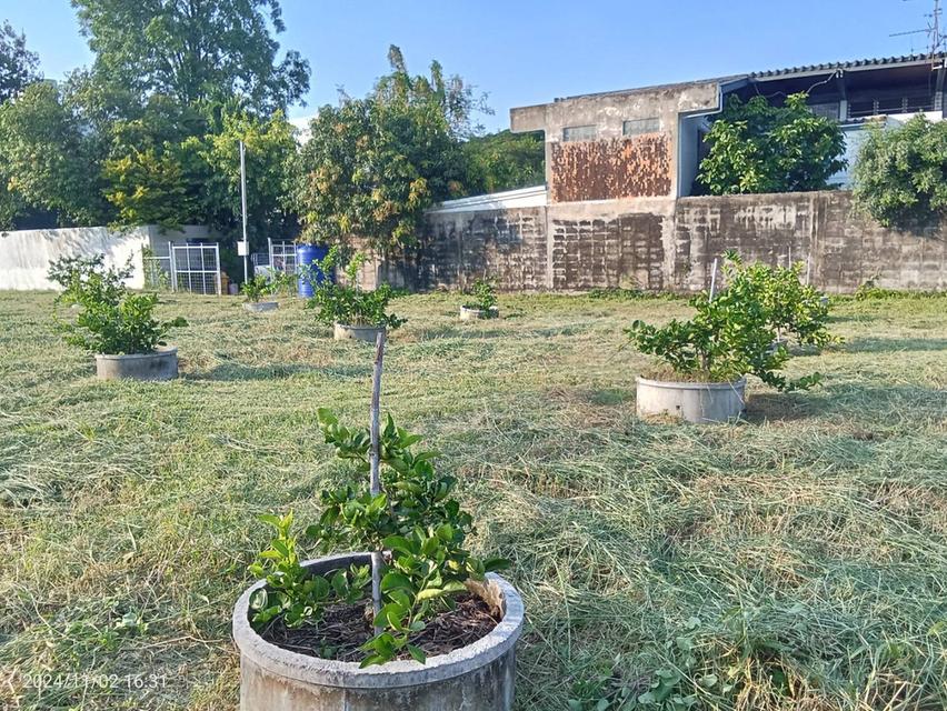 ขายที่ดิน รามคำแหง ซอย 12 พื้นที่ 696 ตารางวา ขายยกแปลงหรือแยกแปลง  ราคาขาย 120,000บาท/ตารางวา 3