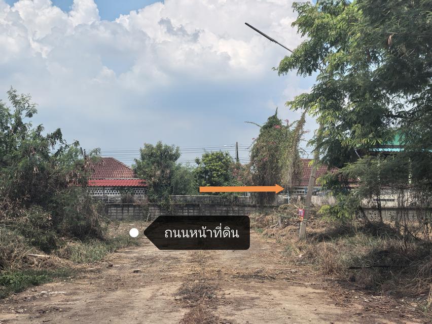 ที่ดินเปล่า60.7และ60ตรว. คลอง8 ถ.รังสิตนครนายก  อยู่ในหมู่บ้านณัฐวดี ซอย38 จากหน้าหมู่บ้านถึงที่ดินประมาณ 1.3โล 2