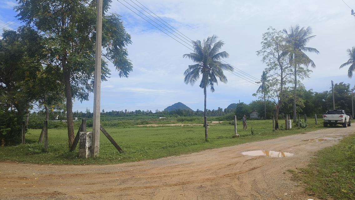 ขายด่วน ที่ดินในโครงการจัดสรร พื้นที่แหล่งท่องเที่ยว 3