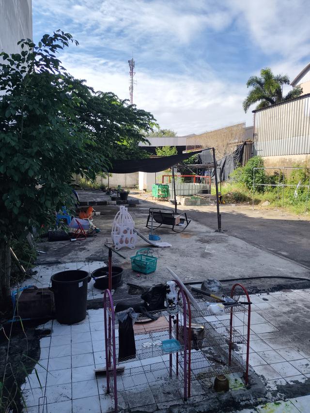 ที่ดินพร้อมสิ่งปลูกสร้าง 8