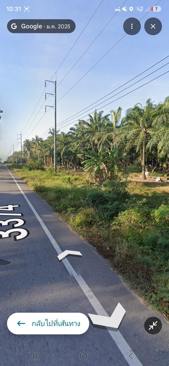 ที่ดินสวนปลามพร้อมสิ่งปลูกสร้าง1หลัง 4