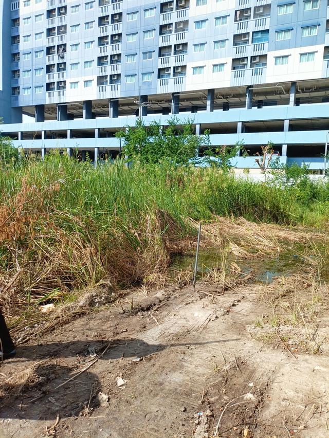 ที่ดิน ชะอำ 404 ตร.วา ใกล้หาด 300ม. 14