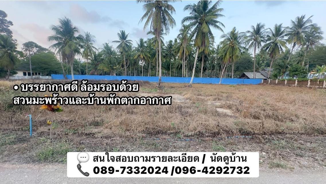 🔥🌊 ขายด่วน! ที่ดินทำเลทอง 1 ไร่ 3 งาน ติดถนนดำ-ใกล้ทะเลแค่เอื้อม! 🔥 6
