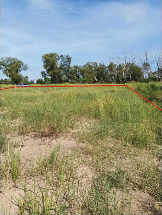 ขายด่วน! ที่ดิน จ.นครนายก คลอง16/ที่ถมแล้ว (เจ้าของขายเอง) 1