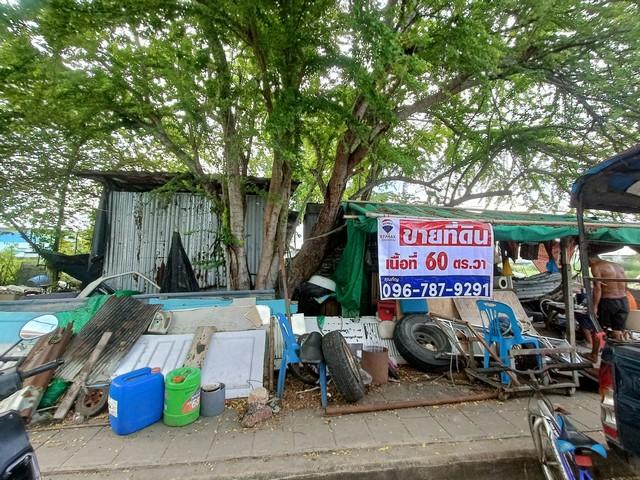 ขายที่ดิน พุทธมณฑลสาย 3 ชัชฎาวิลล่า 60 ตร.ว. บางแวก สำหรับสร้างบ้านพักอาศัย ทำเลดี รูปแปลงสี่เหลี่ยมผืนผ้า 1