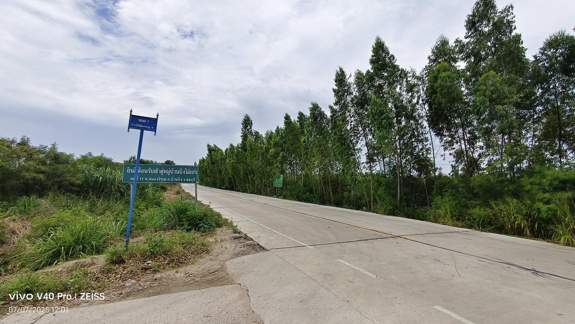 ขายที่ดินหนองอิรุณ 15 ไร่ ใกล้ถนนเส้น331-1.3กม. ใกล้นิคมเอเชียคลีน-7กม.อ.บ้านบึง ชลบุรี 4