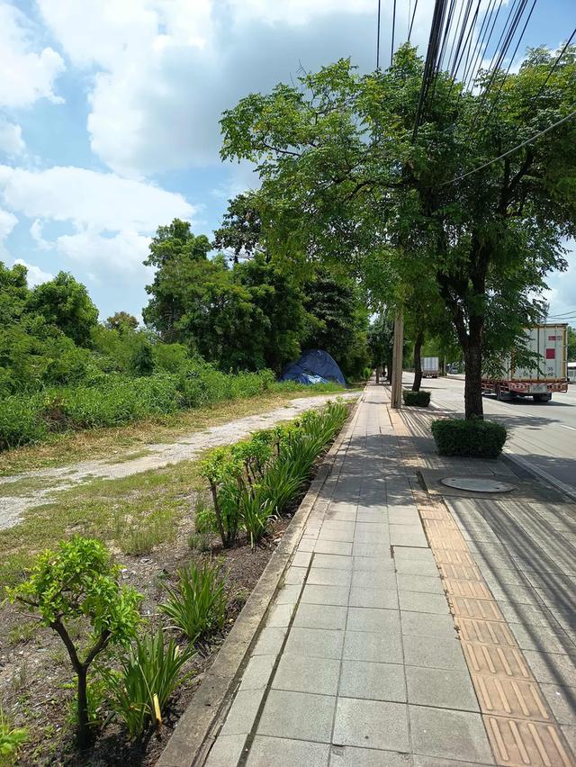 ที่ดินนิมิต​ใหม่​ 1