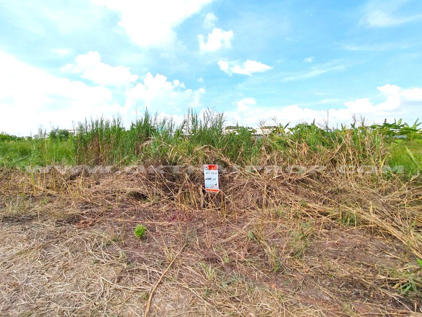 ที่ดินจัดสรรล็อคที่ 19 ถ.346 ต.หน้าไม้ อ.ลาดหลุมแก้ว จ.ปทุมธานี 2