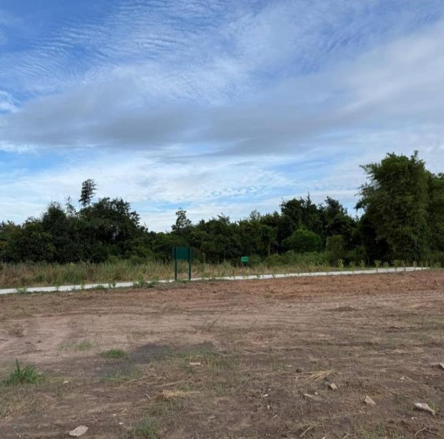 ขายที่ดินนาเริก 4 ไร่ ใกล้ถนนเส้น3246-900เมตร พนัสนิคม จ.ชลบุรี