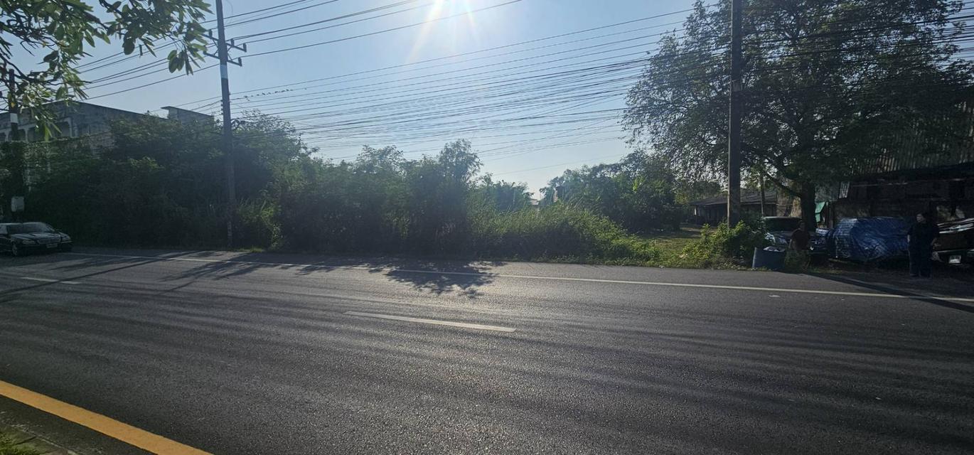 ที่ดิน 4ไร่ 1งาน 33ตารางวา 4