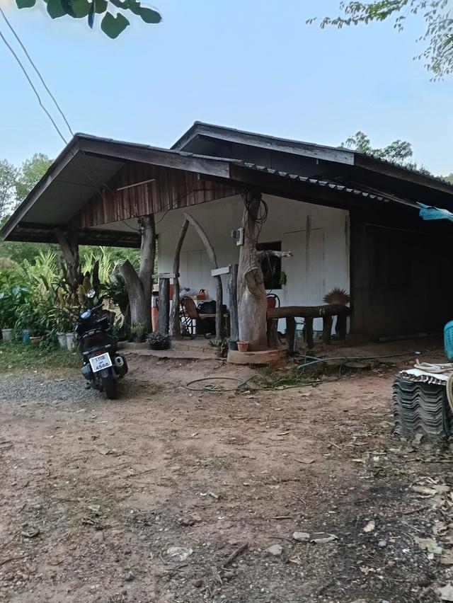 ที่ดินพร้อมบ้าน 300 ตารางวา 11
