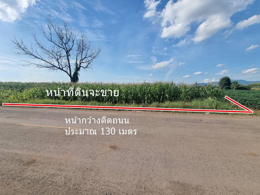 ขายที่ดิน 20ไร่เศษ ต.ลาดแค ชนแดน ขายเหมายกแปลง1.9 ล้าน 1