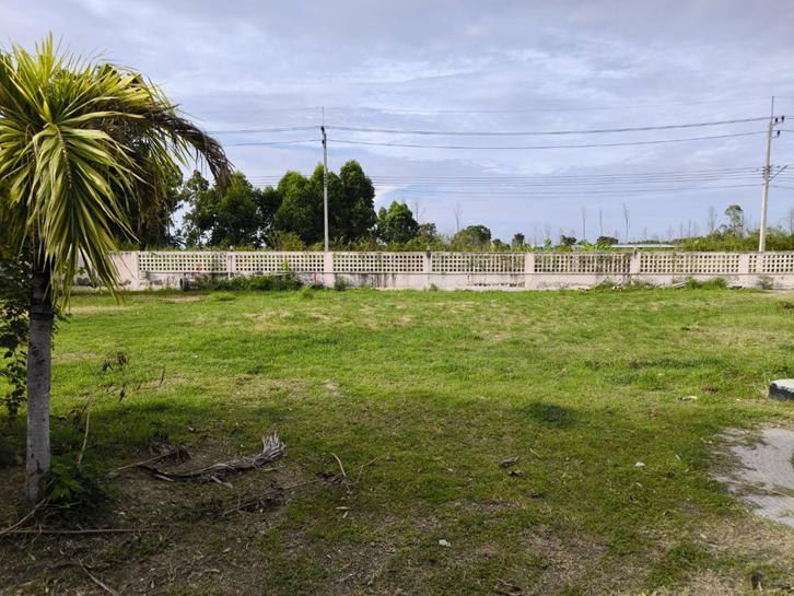 ที่ดินสี่เหลี่ยมสวยงามถมแล้วบรรยากาศเยี่ยม สาธารณูปโภคพร้อม ปลูกบ้านได้ทันที 2