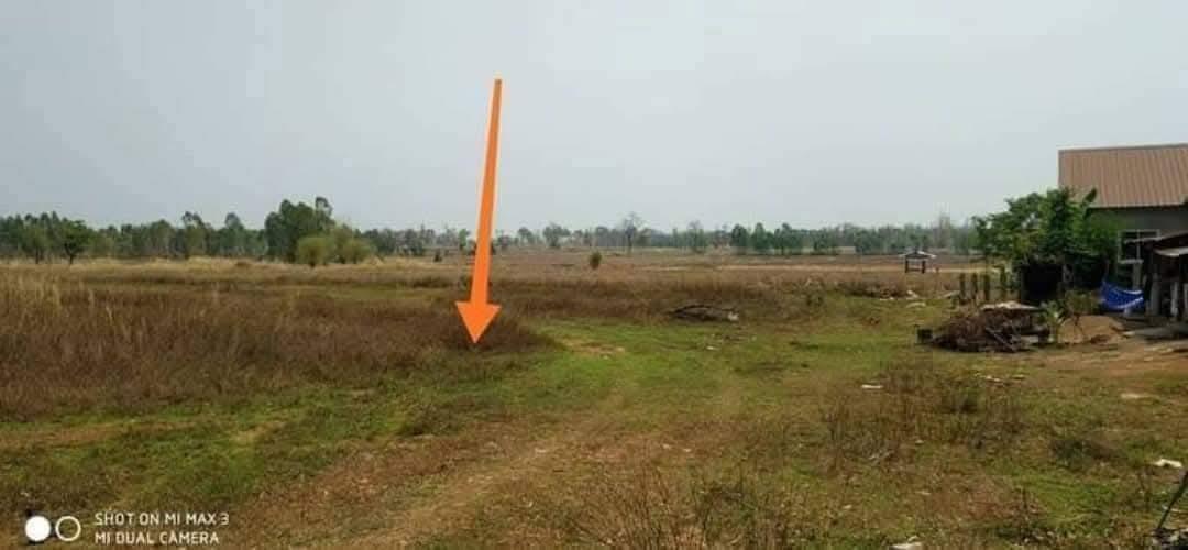 ที่ดินจ.อุดร.นส3ก 2ไร่97ตรว. ยกแปลง390,000 บาท ตรงข้ามโรงเรียนโนนสมบูรณ์ หมู่บ้านโนนสมบูรณ์ ต.นาชุมแสง อ.ทุ่งฝน จ.อุดรธานี อยู่ในชุมชน ติดถนน น้ำปะปา 6