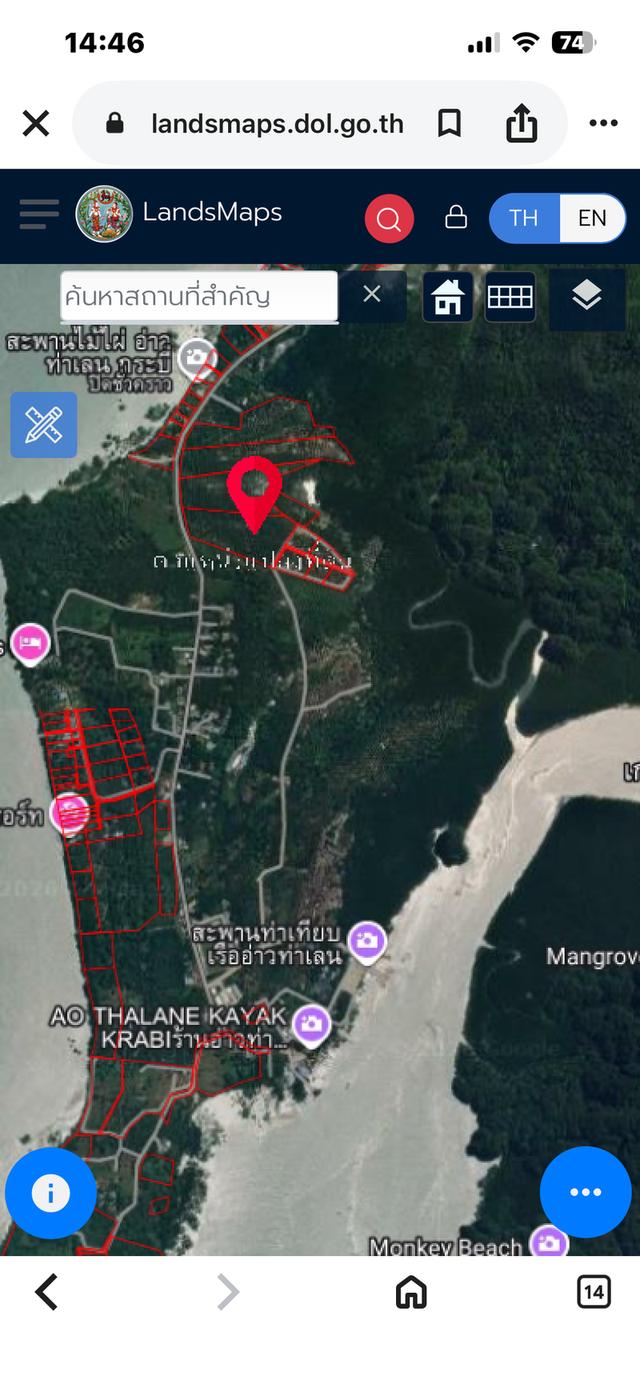 ที่ดิน ติดทะเล สวนปาล์ม 8