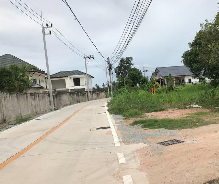 ขายที่ดินนาจอมเทียน พัทยา 212 ตรว. ซอยทุ่งเจ๊กเลี่ยว ใกล้หาดบ้านอำเภอ5กม. อ.สัตหีบ จ.ชลบุรี 7