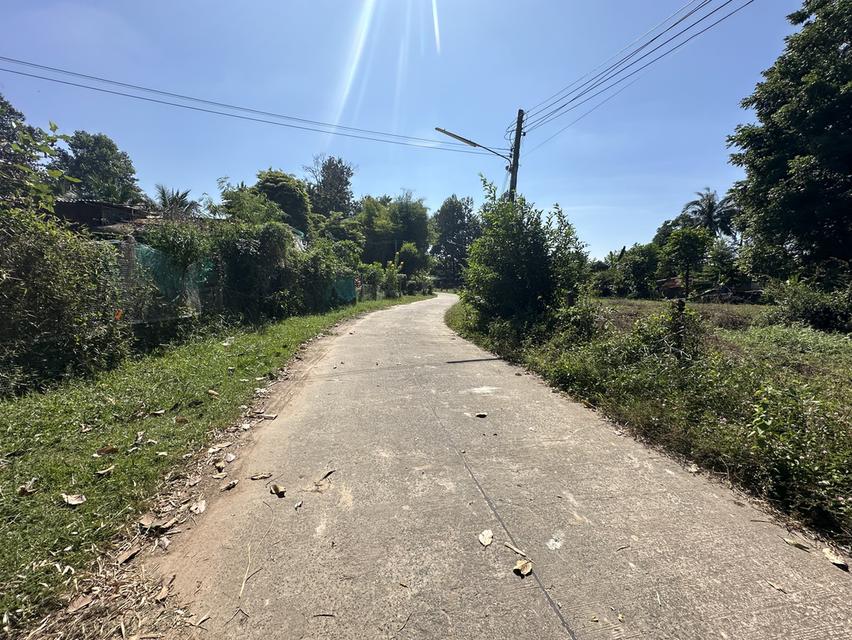 ขายด่วนที่ดินแถมบ้าน อำเภอเมืองอุบลราชธานี ใกล้สนามบินอุบล 17