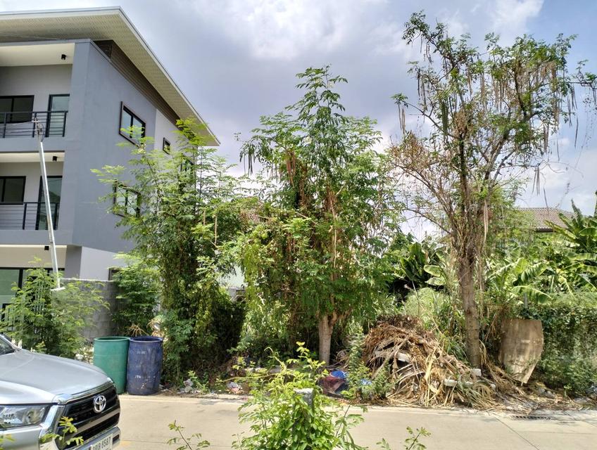 ที่ดินเปล่า 46 ตารางวา รังสิตคลอง 1-2 ใกล้ตลาด 2