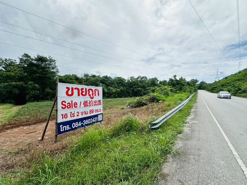 ขายด่วน ที่ดิน จ.ตาก มีต้นสัก 1000 กว่าต้น 6
