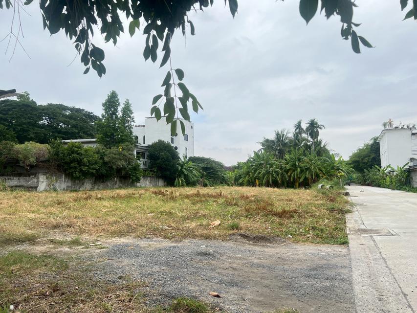 ขายที่ดิน 1 ไร่ 3 งาน 64 ตร.ว. ซอยปุณณวิถี 39 ใกล้ ถนนสุขุมวิท 4