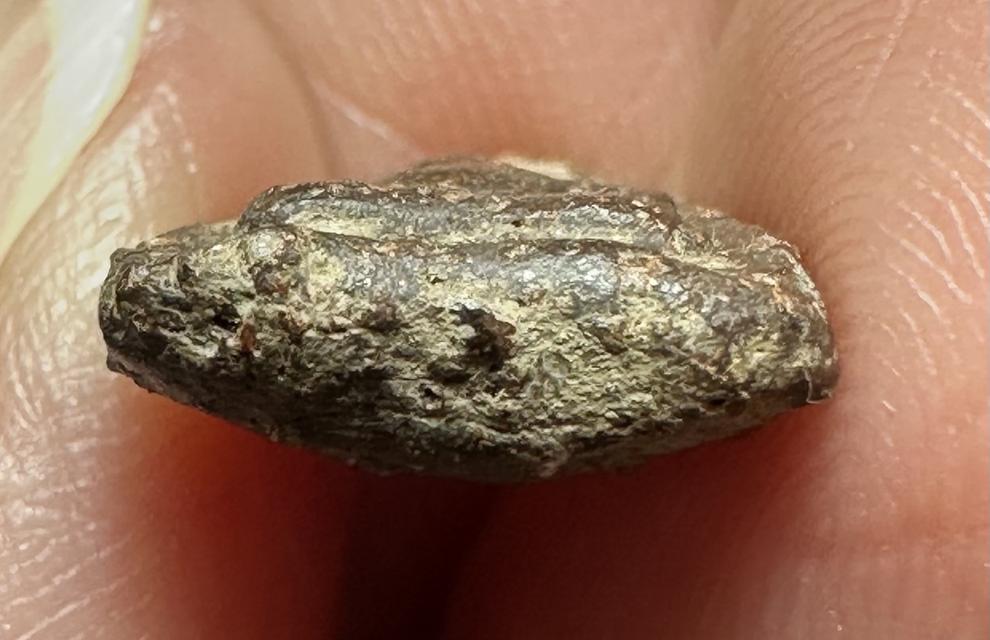 พระพิจิตร เม็ดข้าวเม่า 6