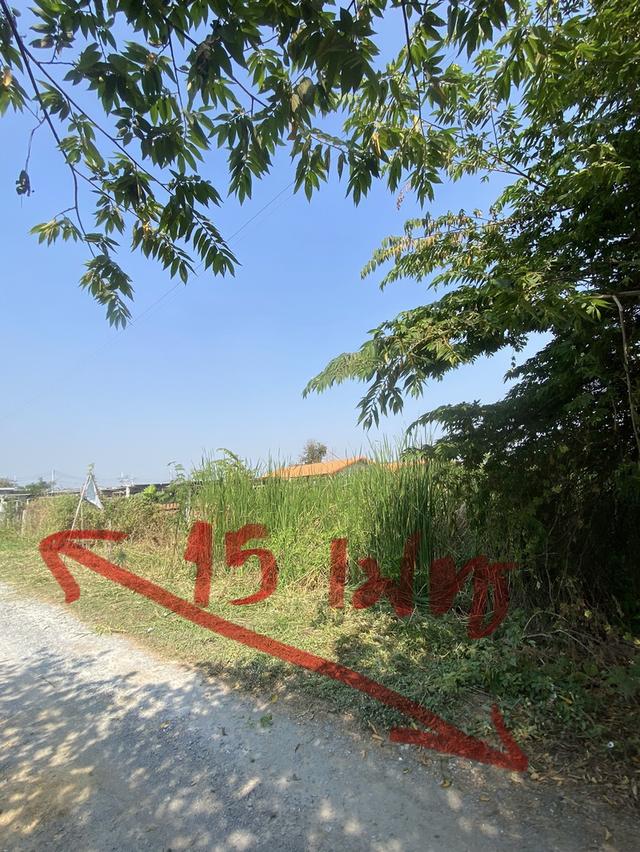 ที่ดินในอำเเมืองนครปฐม 12
