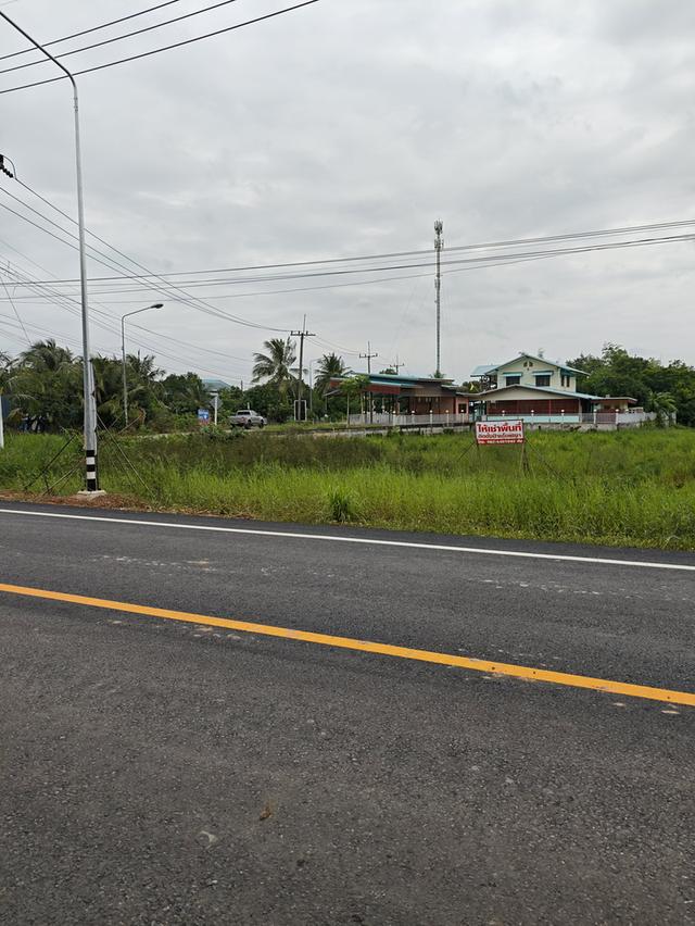 ขายที่ดิน2ไร่ ติดถนน นครนายก 10