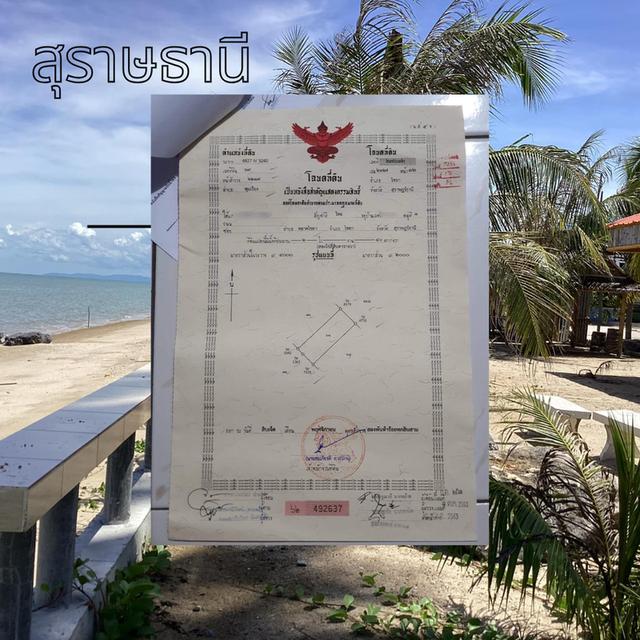 ที่ดินติดะเล 5