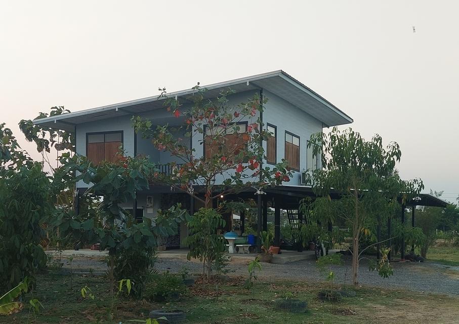 ที่ดินสองไร่พร้อมบ้านสวน 18