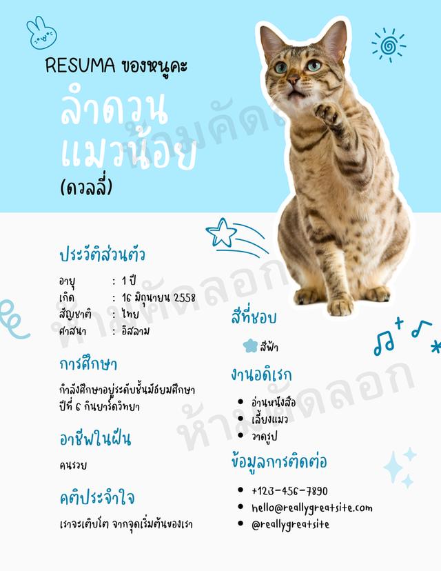 รับออกแบบ RESUME 8