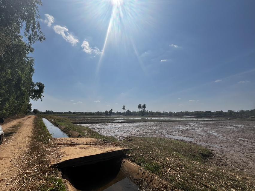 ขายที่นา 9 ไร่ ไม่ไกลจากตัวเมืองขอนแก่น 2