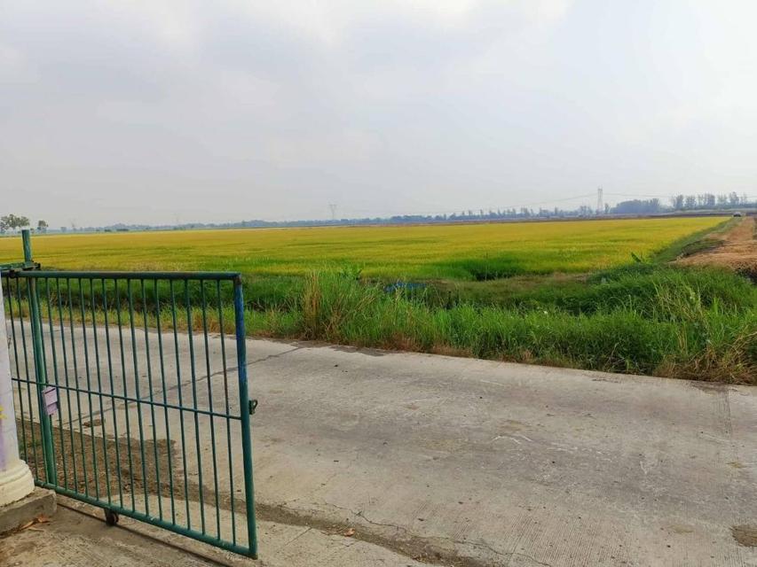 ขายที่ดินสวยถมแล้ว 209 ตรว. พร้อมโฉนด ทำเลดี เดินทางสะดวก บ้านท้ายลาด ลพบุรี ( เจ้าของขายเอง )