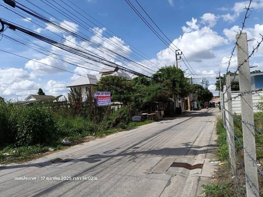 ขายที่ดินอ่อนนุช66(ประเวศ)ใกล้BTSอ่อนนุช 176 ตรว. ติดถนนทั้ง2 ฝั่ง ราคาดีเช็คราคาก่อนได้ ❤️ 6