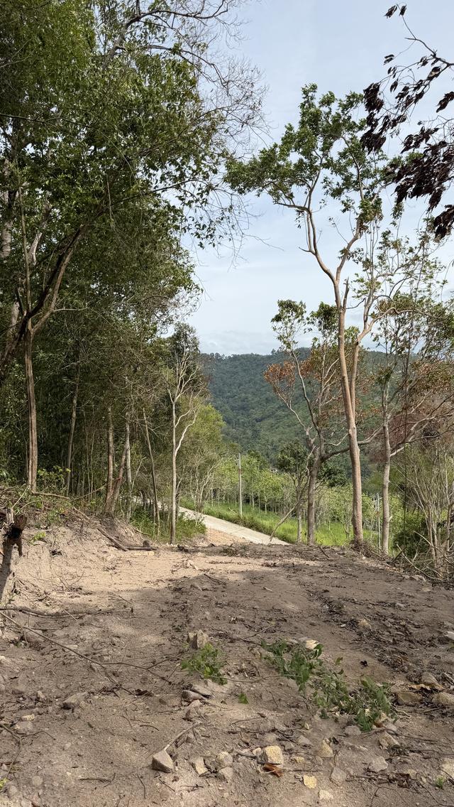 Prime Sunset & Sea View Land for Sale in Koh Samui – A Rare Investment Opportunity! 14