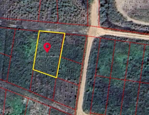 ขายที่ดิน 170 ตารางวา ตำบลห้วยทรายเหนือ อำเภอชะอำ จังหวัดเพชรบุรี 8